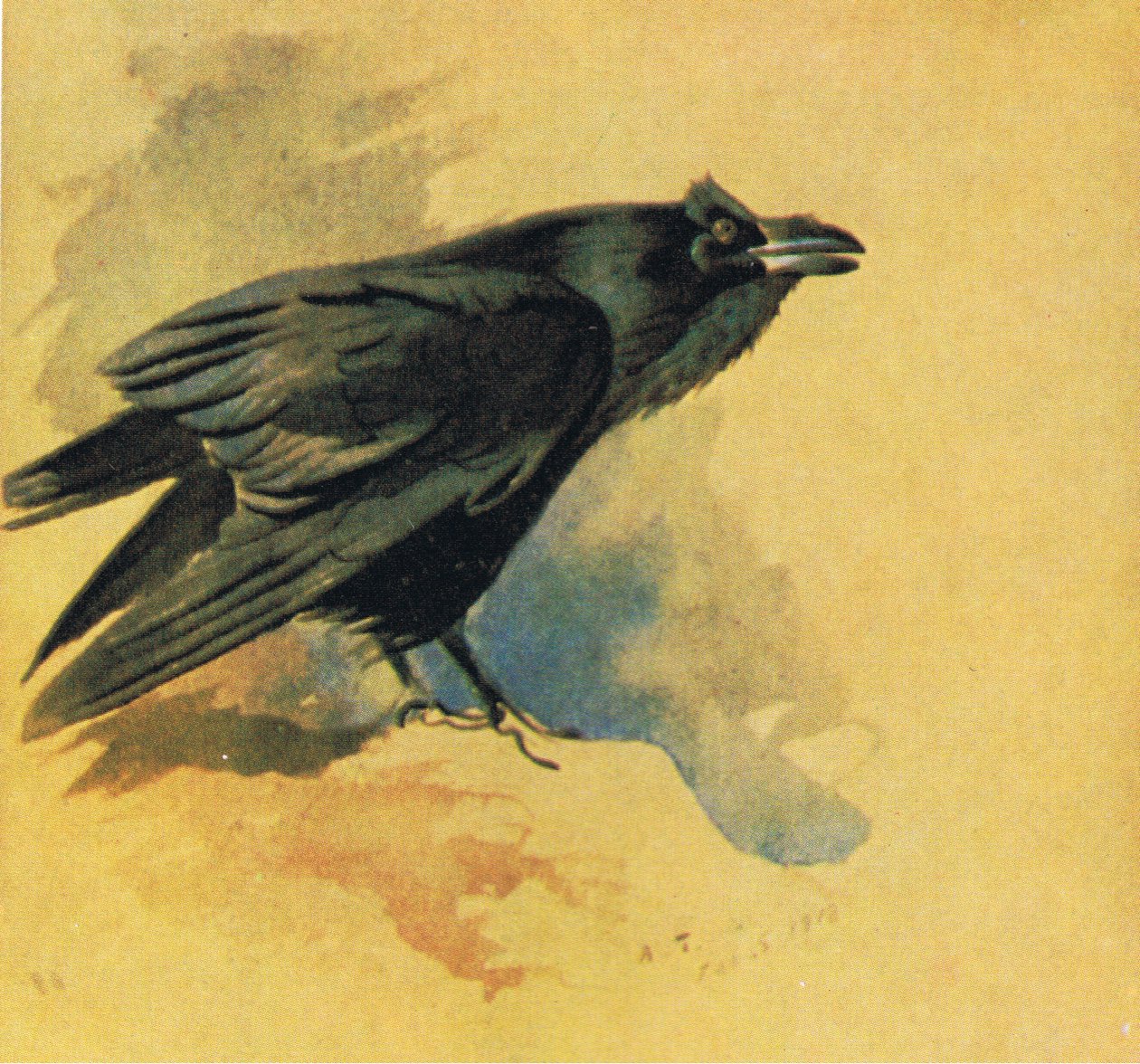 Ravn, værtshus. af Book Club Associates, 1972 af Archibald Thorburn