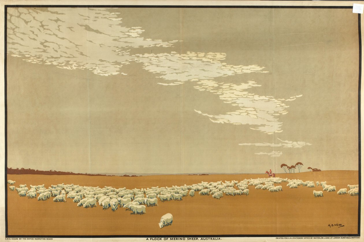 A Flock of Merino Sheep - Australien, fra serien 