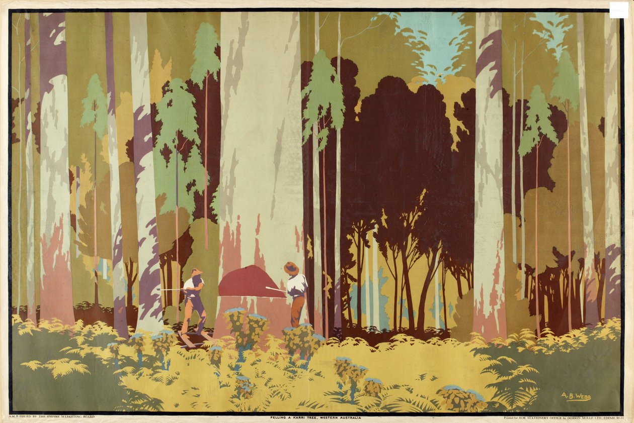 Felling a Karri Tree, Western Australia, fra serien 
