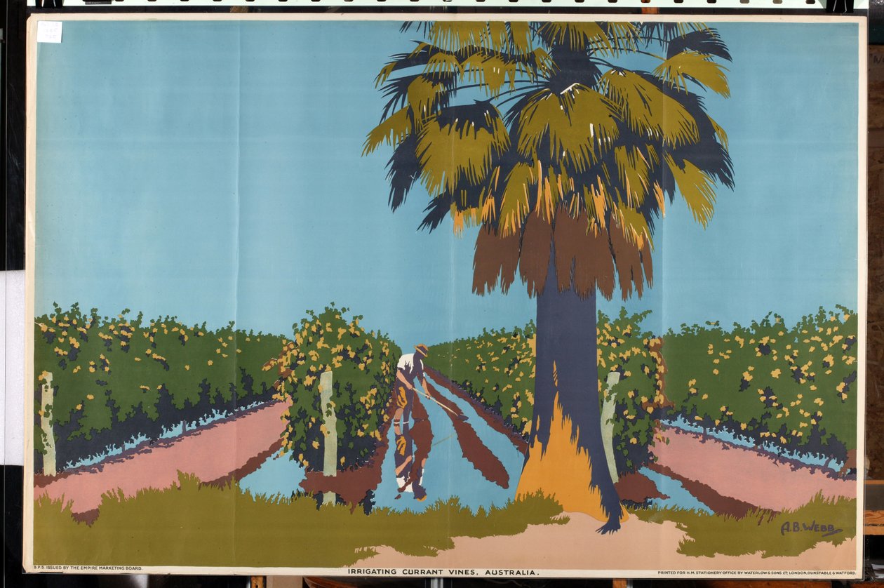 Vanding af ribsvinstokke - Australien (farve litho) af Archibald Bertram Webb