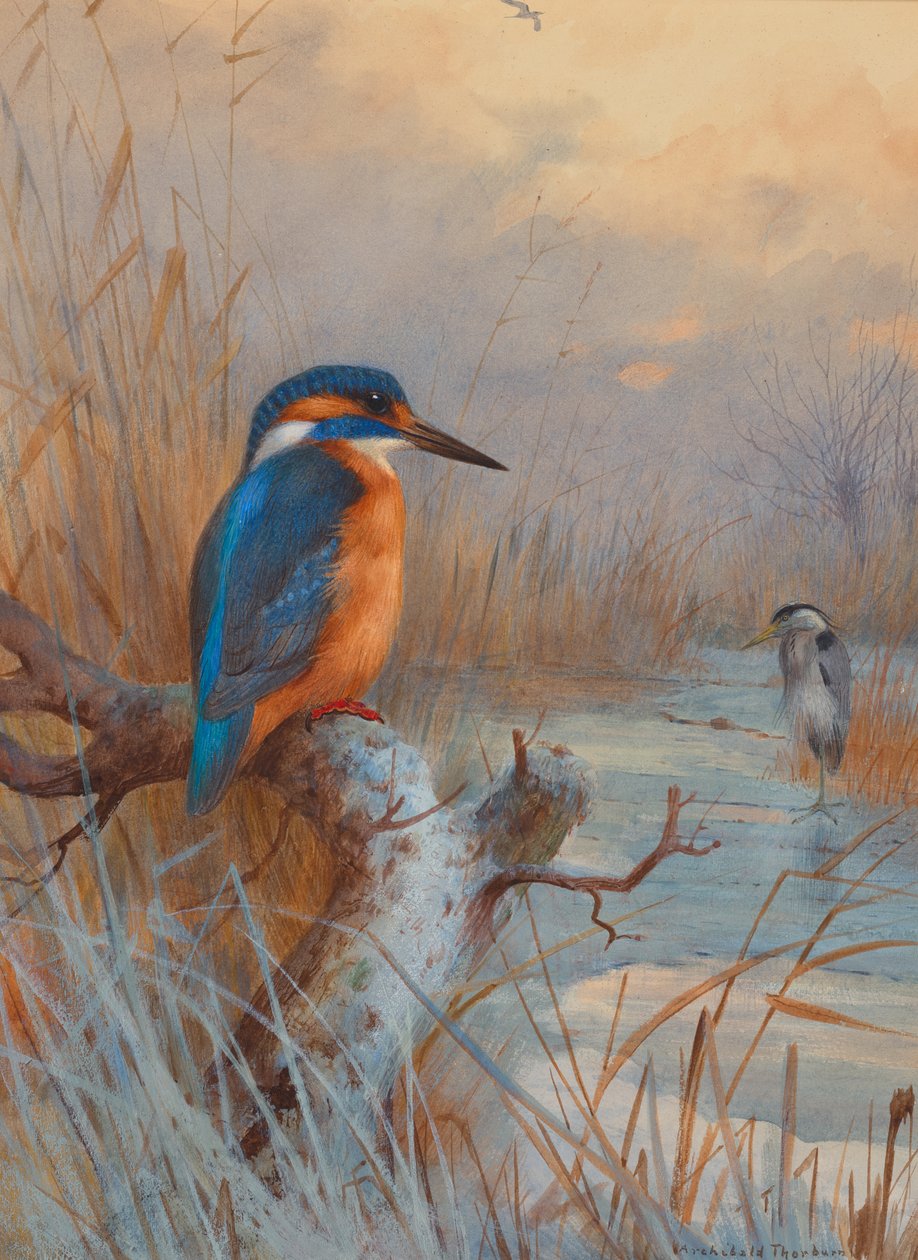  af Archibald Thorburn