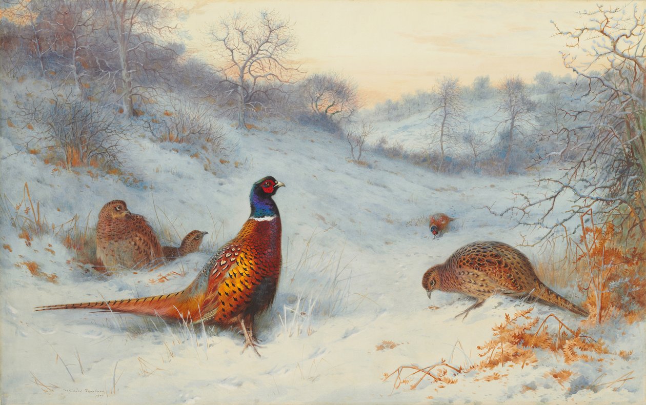 Fasan i sneen af Archibald Thorburn