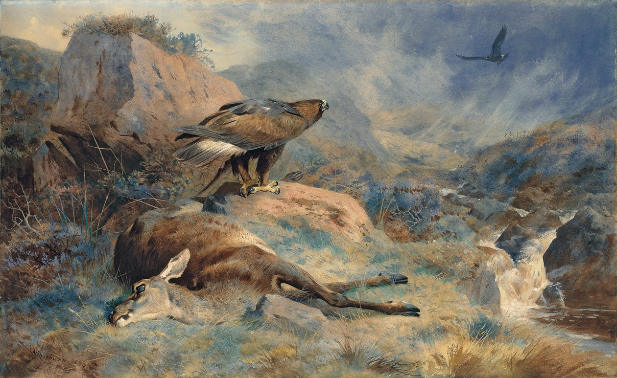 Den forsvundne hind af Archibald Thorburn