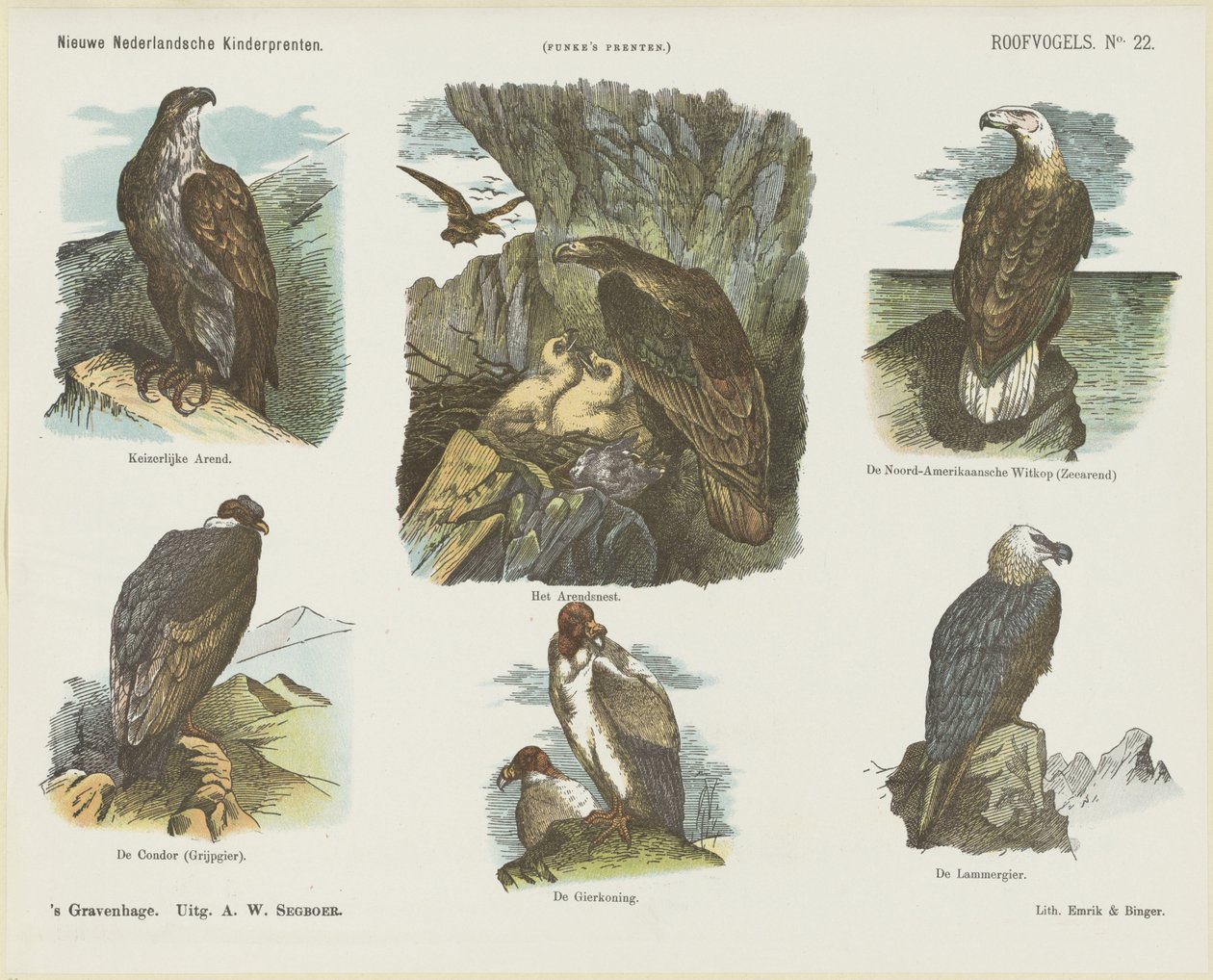 Birds of Prey (titel på objekt) Nye hollandske børnetryk (serietitel på objekt) Funkes print (serietitel på objekt) af Arie Willem Segboer