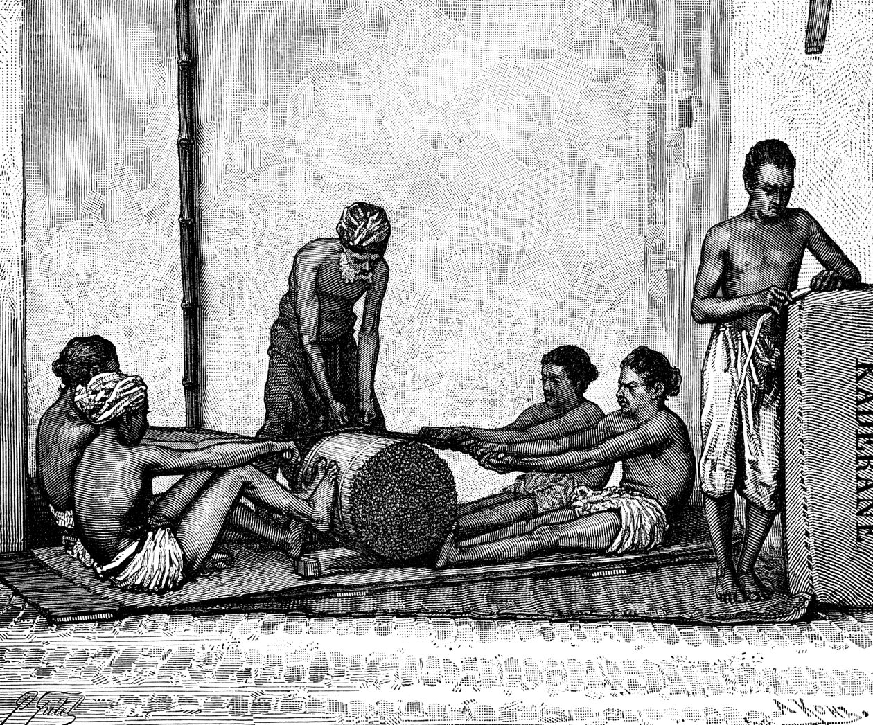 Kanelpakning, Indien, 1895. af Armand Kohl