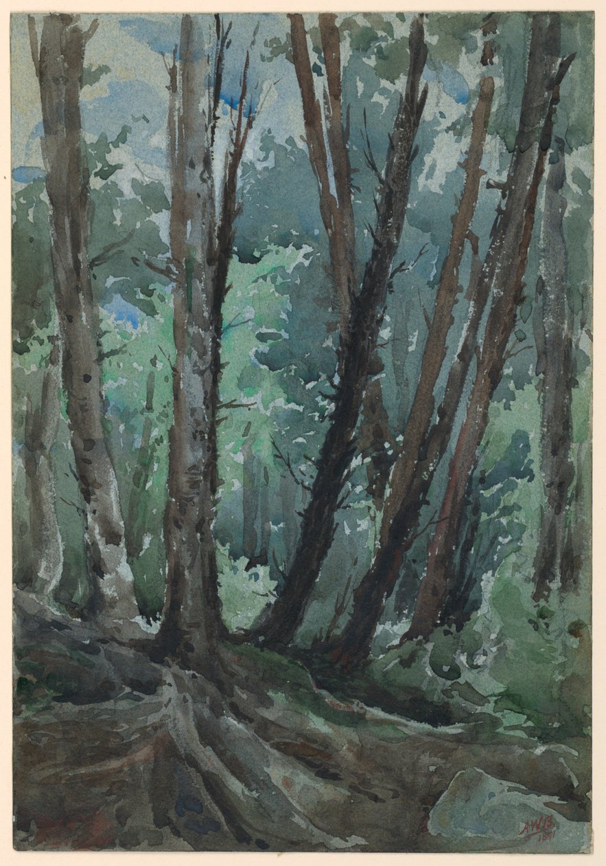 Skov af Arnold William Brunner