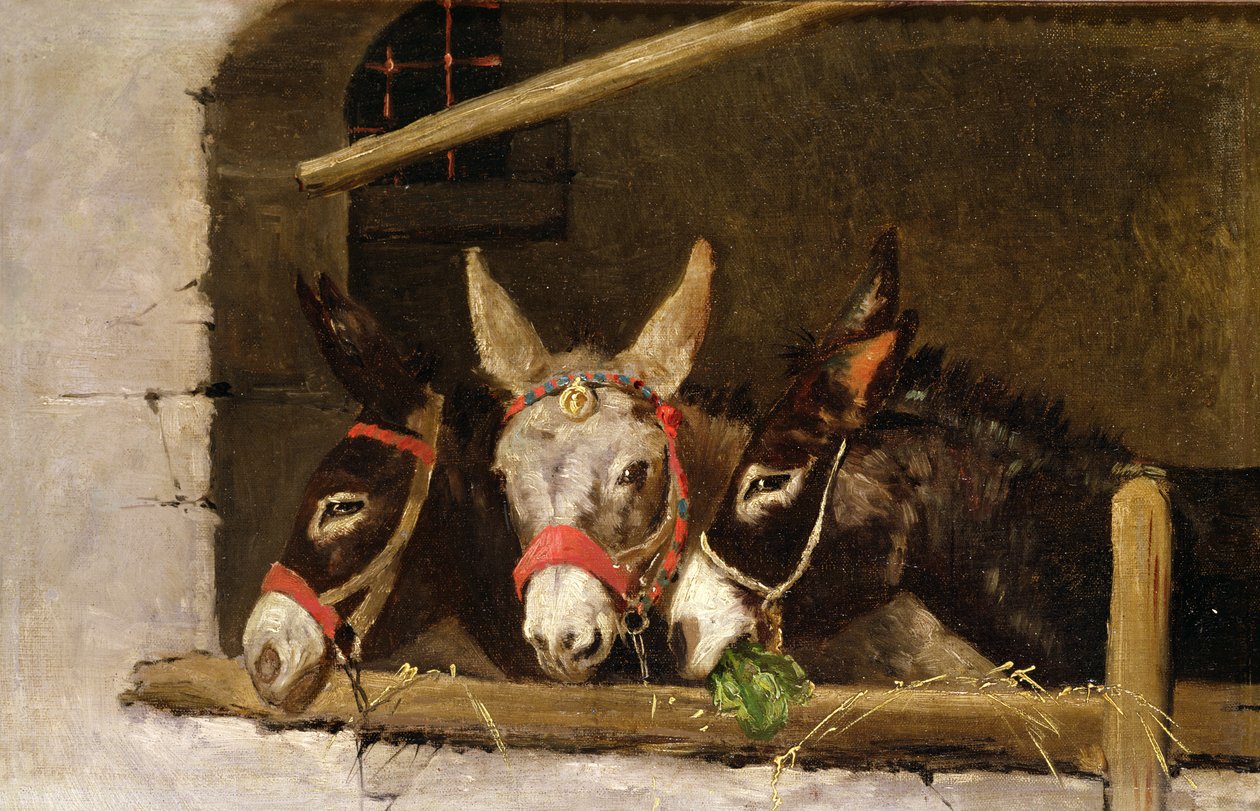 Æsler fodring af Arthur Batt