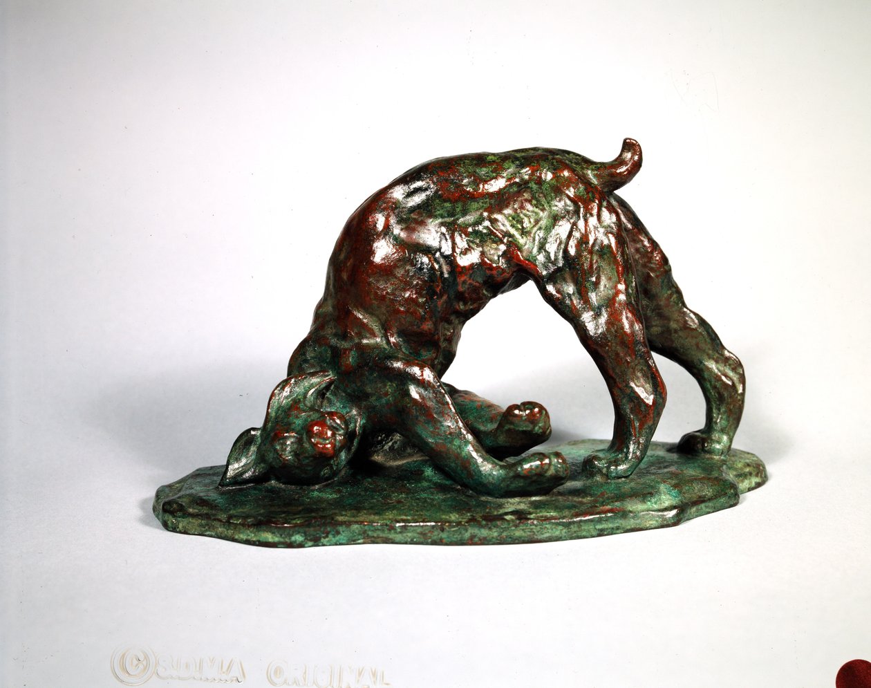 Skunked Lynx, 1909 (bronze) af Arthur Putnam