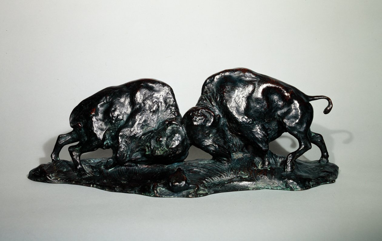 To kæmpende bøfler, 1900 (bronze) af Arthur Putnam