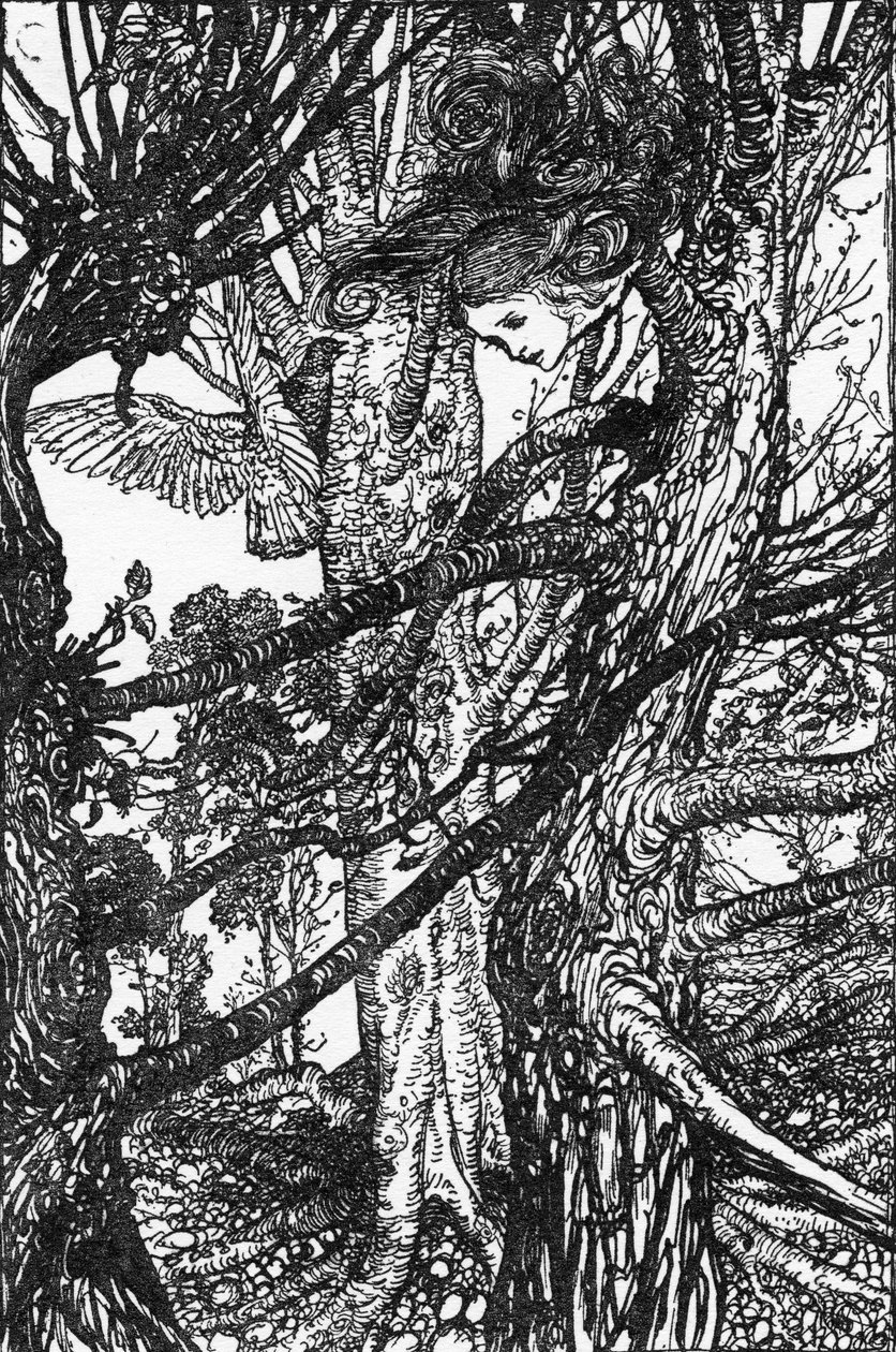 Alice s eventyr i Eventyrland af Lewis Carroll af Arthur Rackham