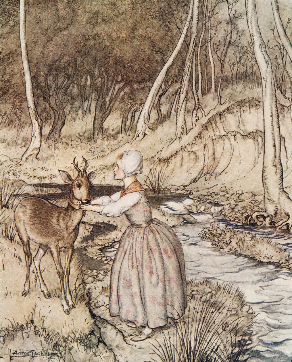 Lillebror og Lillesøster, fra Lillebror & Lillesøster og andre fortællinger af brødrene Grimm, pub.1917 af Arthur Rackham
