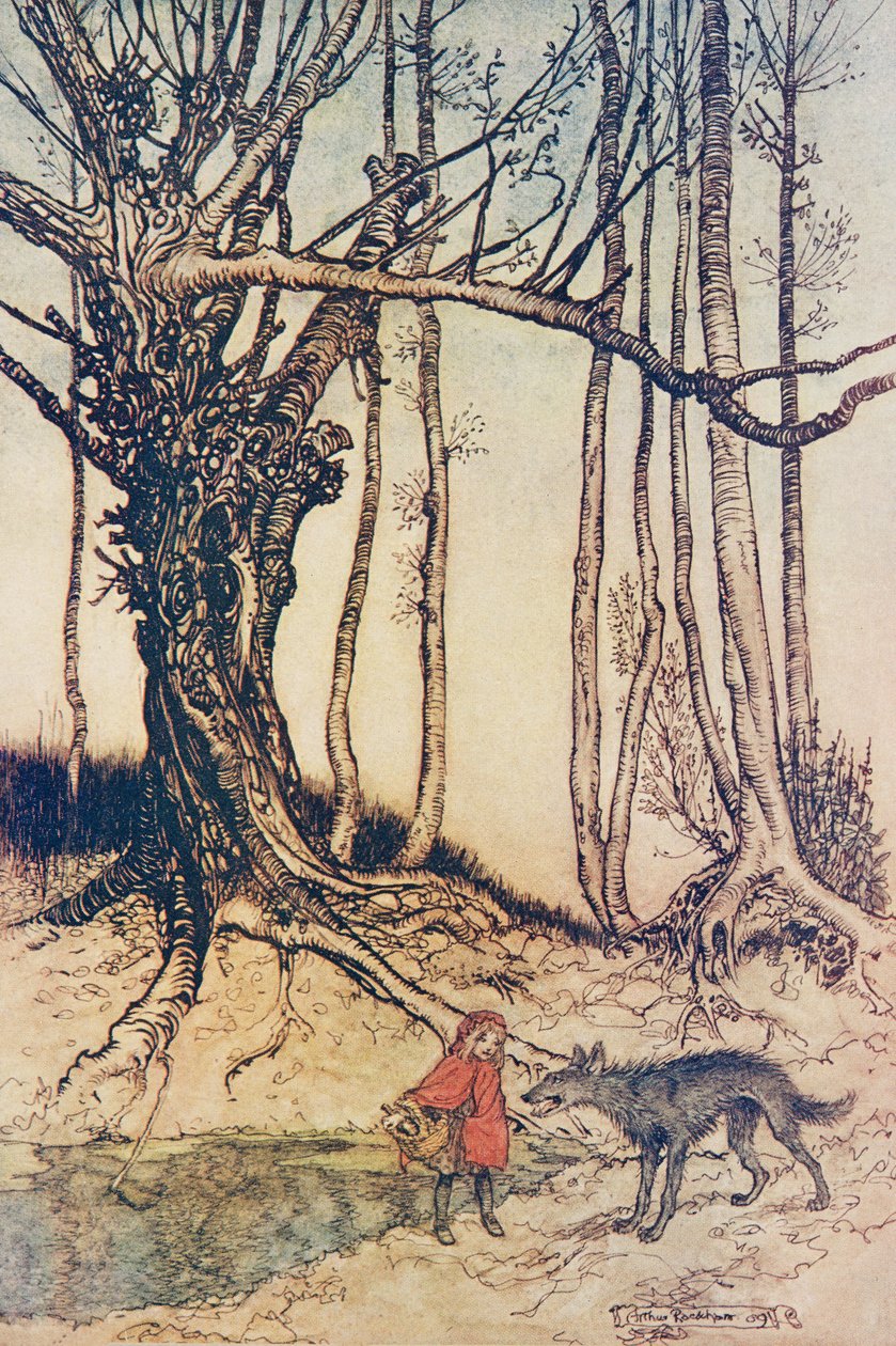 Da hun kom til skoven mødte hun en ulv .. fra The Fairy Tales of the Brothers Grimm, pub. 1909 af Arthur Rackham