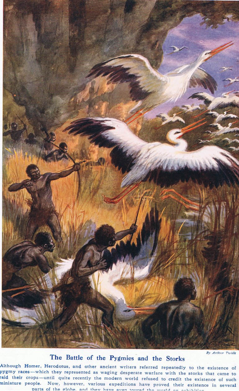 Battle of the Pygmæerne og Storkene, illustration fra 