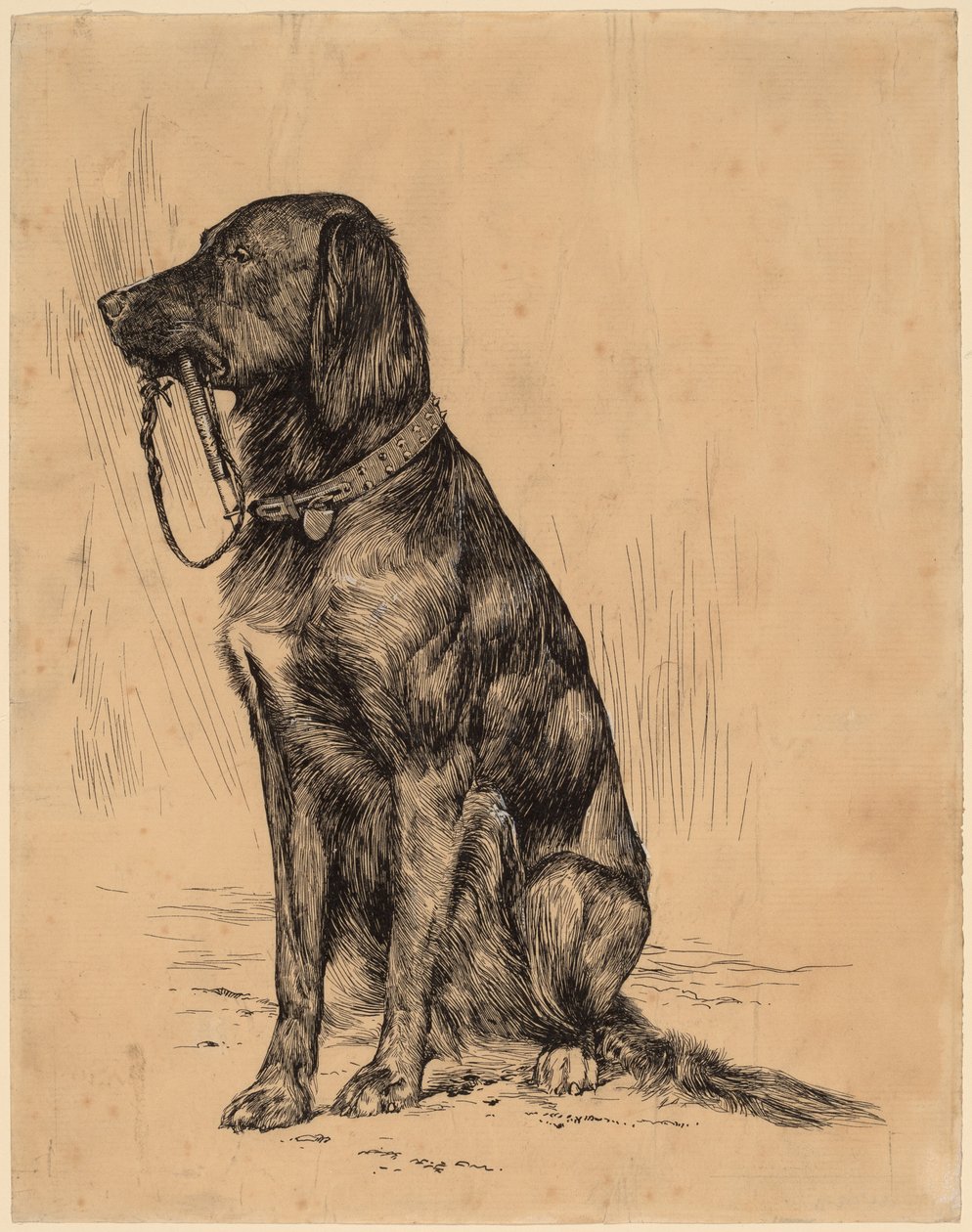 Aldrichs hund af Arthur B. Davies