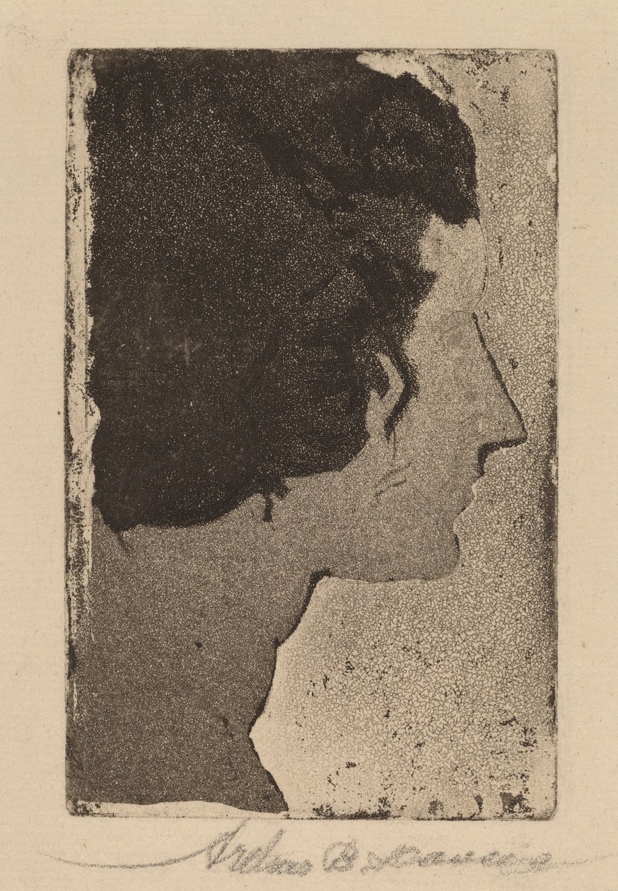 Profil af Arthur B. Davies