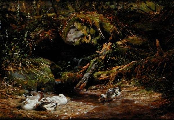 Ænder ved Springhovedet af Arthur Fitzwilliam Tait