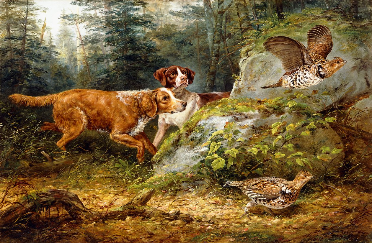 Flushed: Rypeskydning, 1857 af Arthur Fitzwilliam Tait
