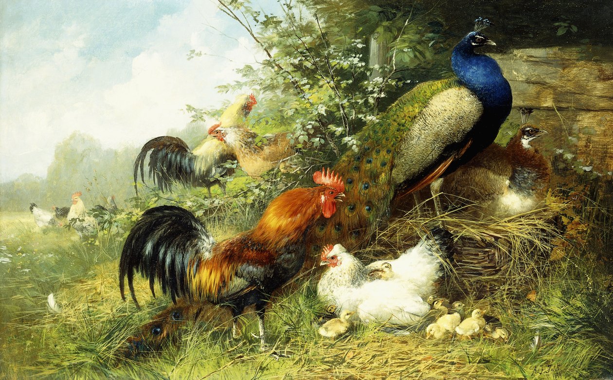 Høns og påfugle, 1899 af Arthur Fitzwilliam Tait