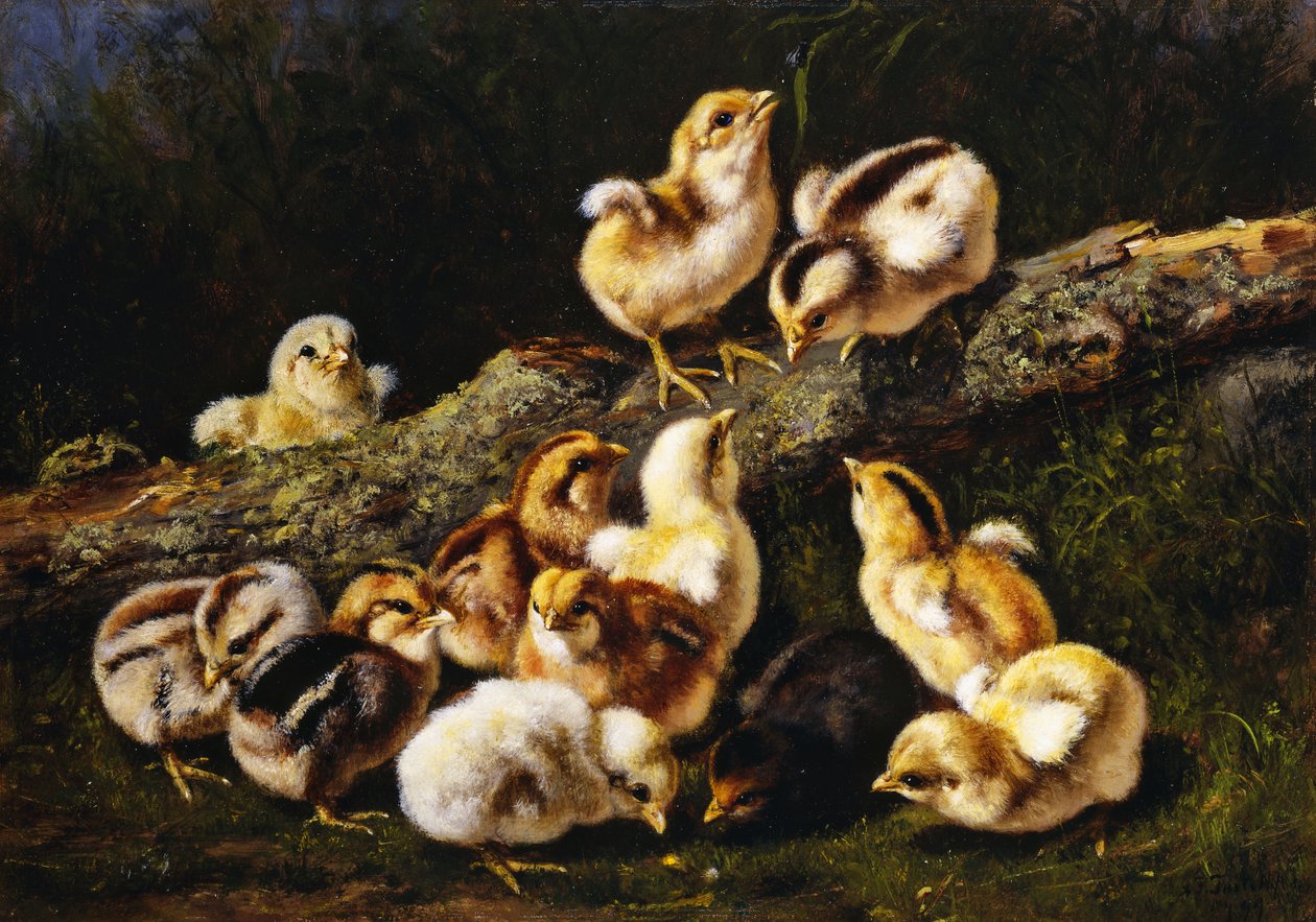 Små kæledyr, 1899 af Arthur Fitzwilliam Tait
