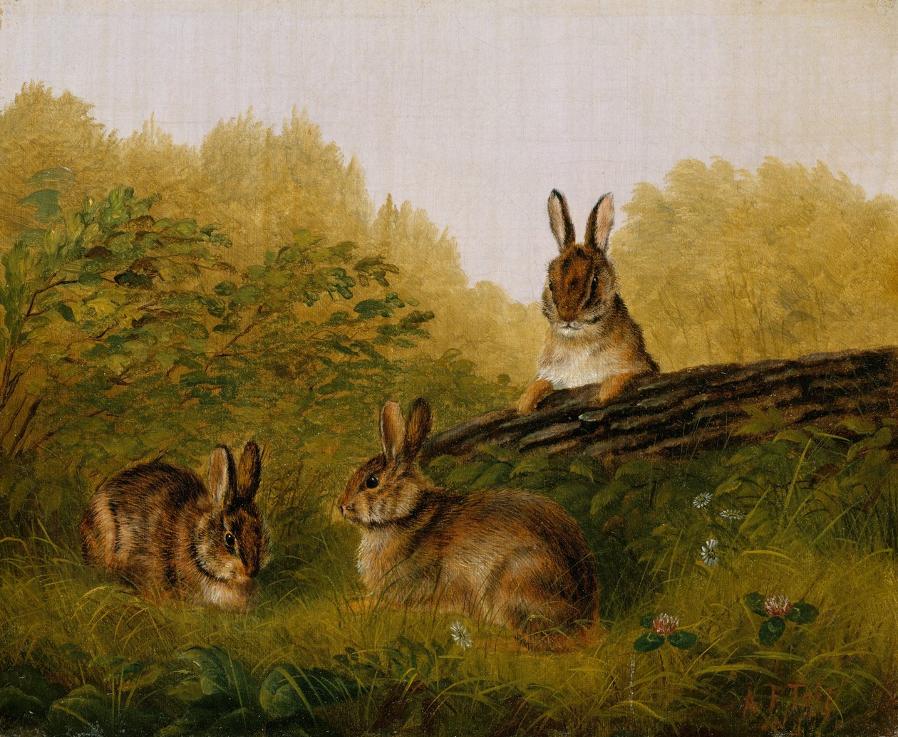 Kaniner på en træstamme, 1897. af Arthur Fitzwilliam Tait