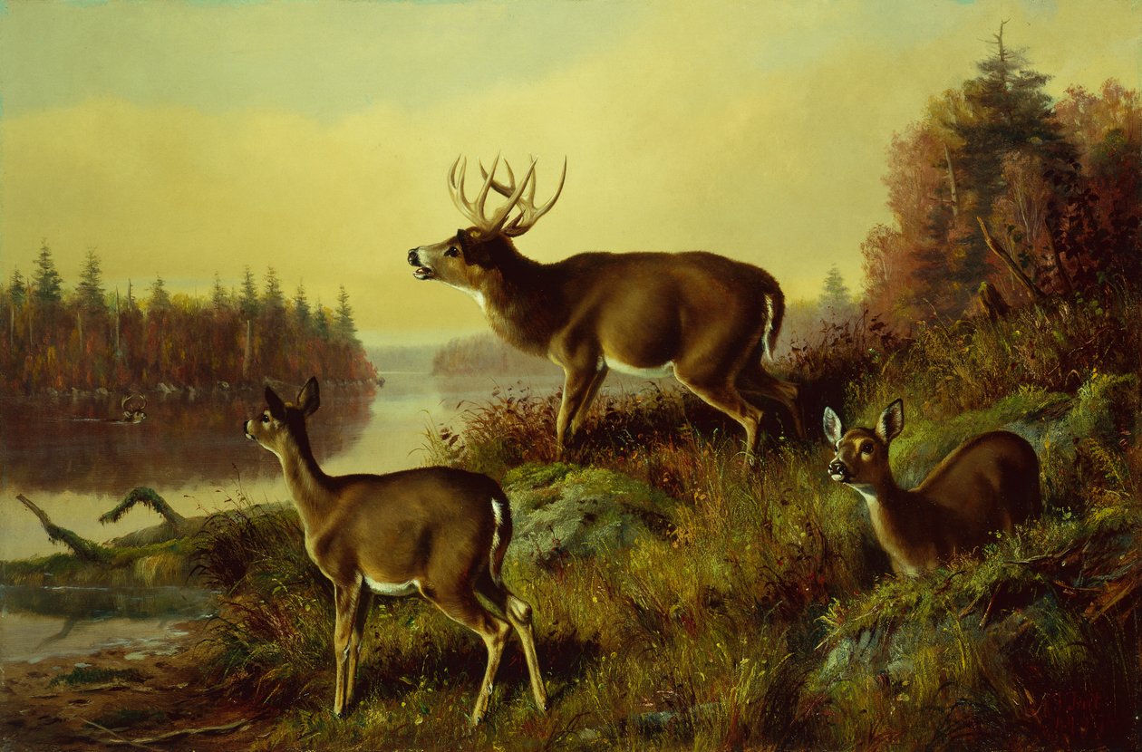 Udfordringen af Arthur Fitzwilliam Tait