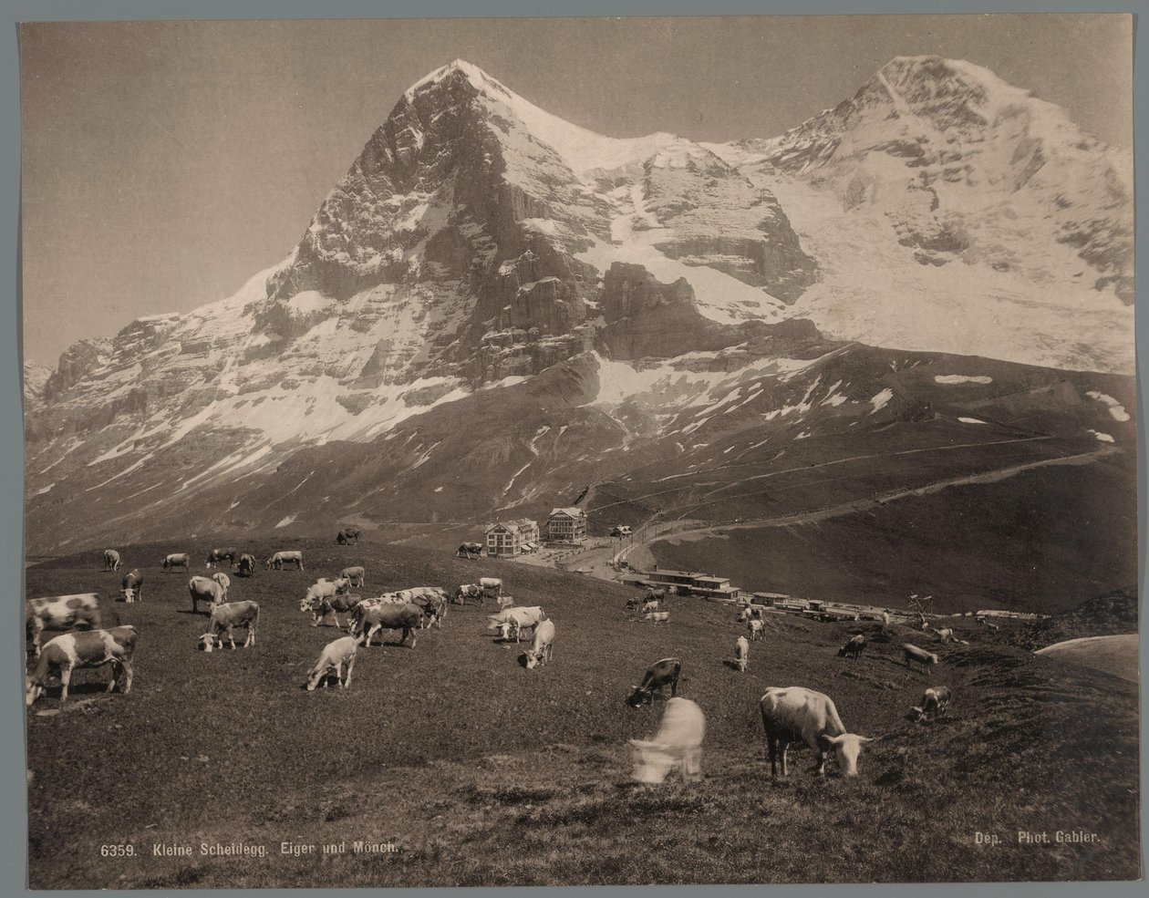 Køer på Kleine Scheidegg i Berner Oberland, i baggrunden Eiger og Mönch Kleine Scheidegg, Eiger und Moench (titel på objekt) af Arthur Gabler