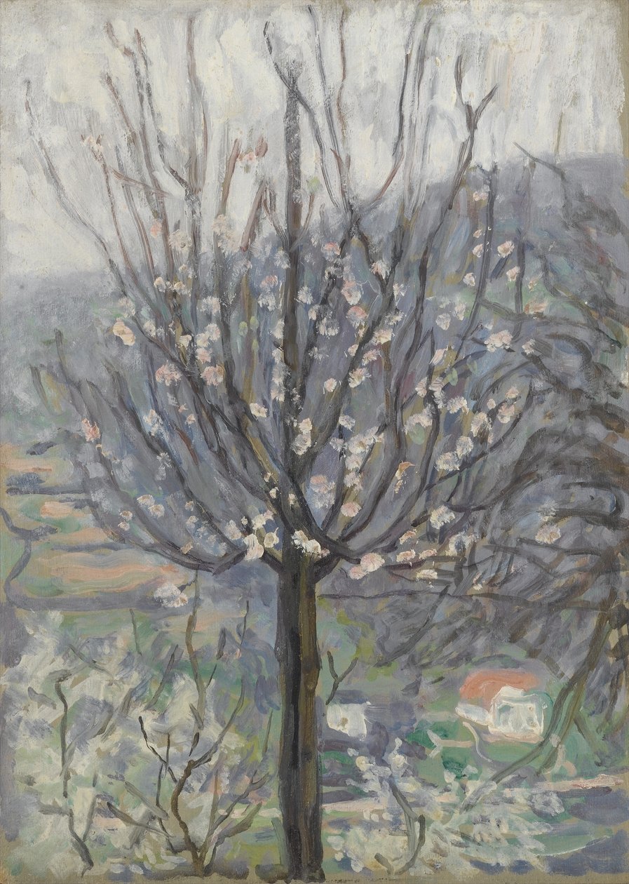 Blossom, tidlig morgen af Arthur Haythorne Studd