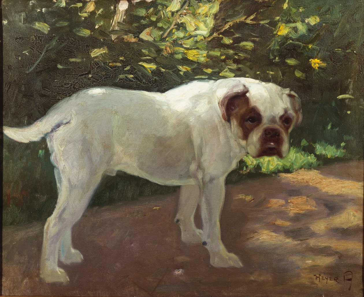 En bulldog på en havesti (olie på lærred) af Arthur Heyer