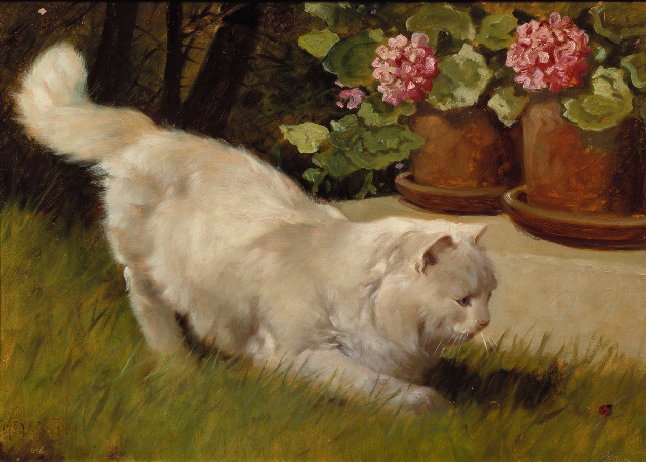 En hvid persisk kat med en mariehøne (olie om bord) af Arthur Heyer