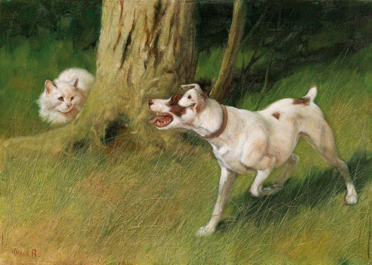 Hund og kat af Arthur Heyer