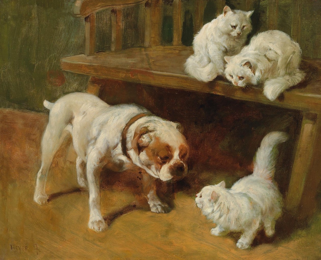 Hund og katte af Arthur Heyer