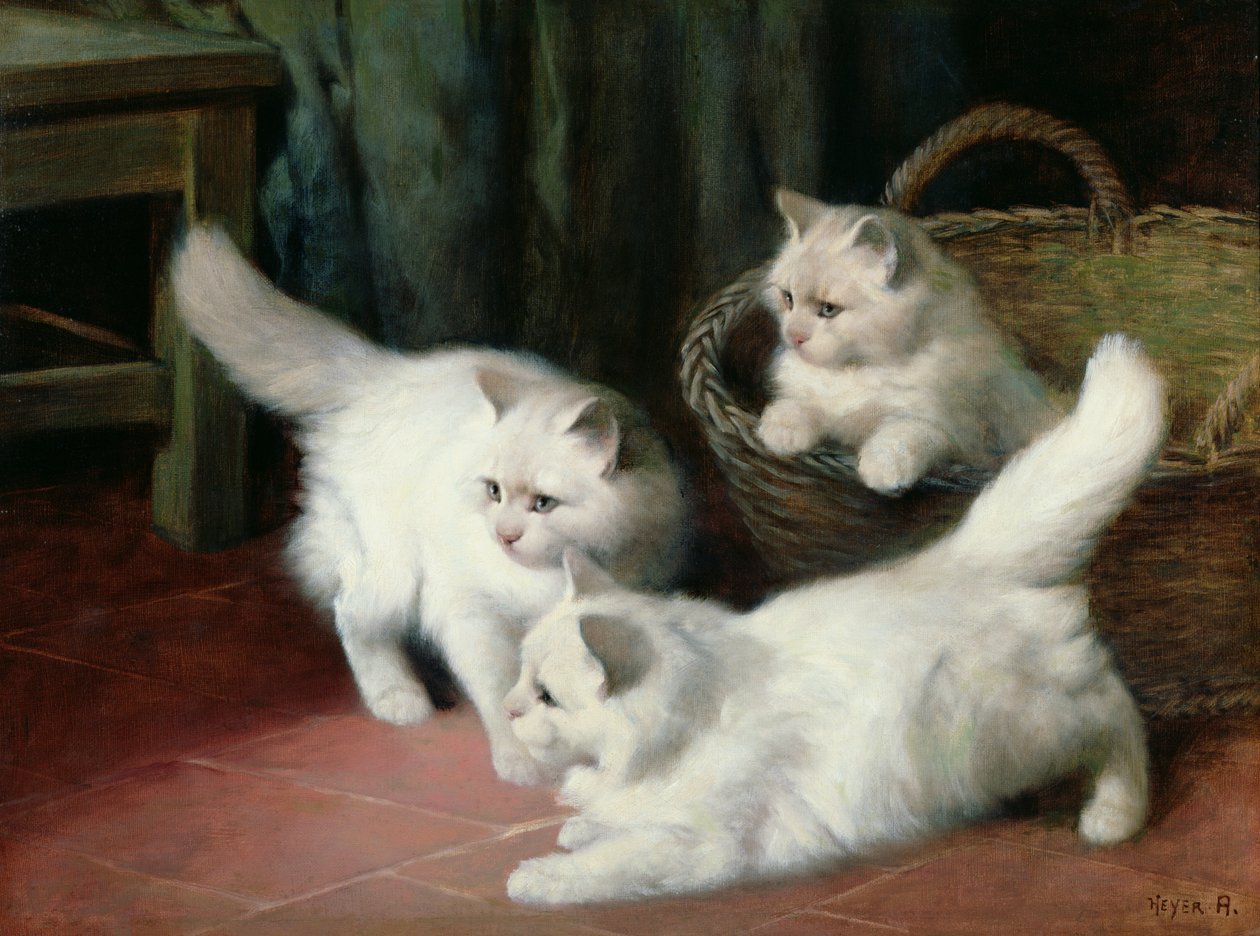 Tre hvide angorakillinger af Arthur Heyer