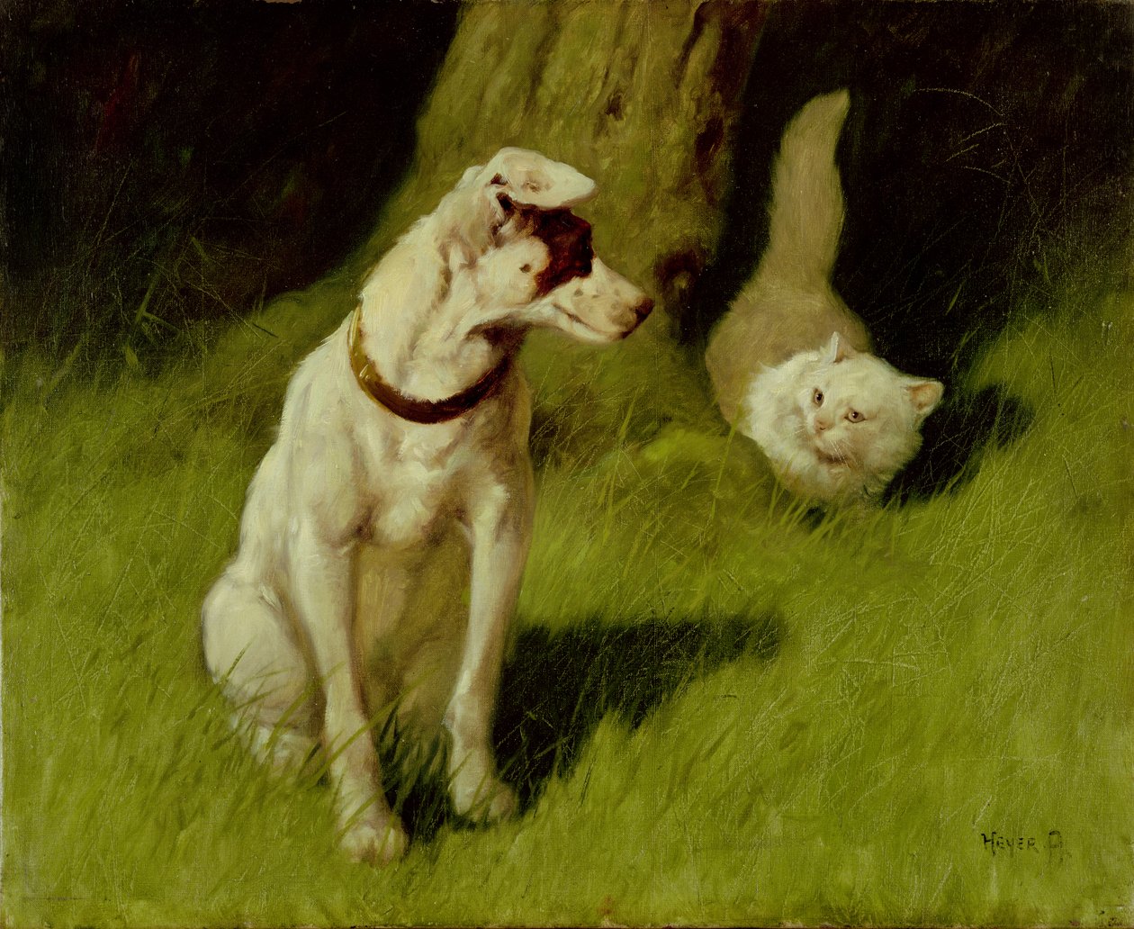 Hvid perserkat og Jack Russell af Arthur Heyer
