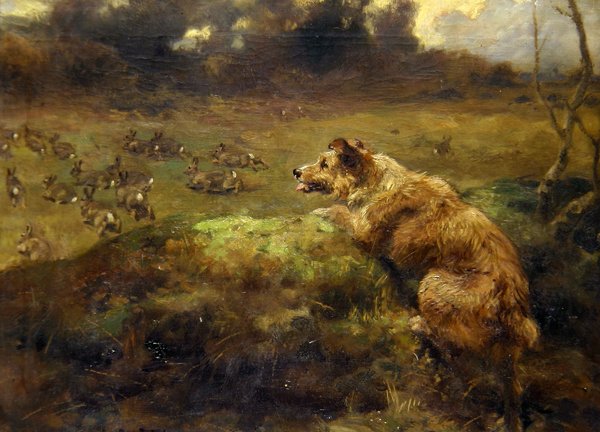 Rabbit Hunter (olie på lærred) af Arthur John Strutt