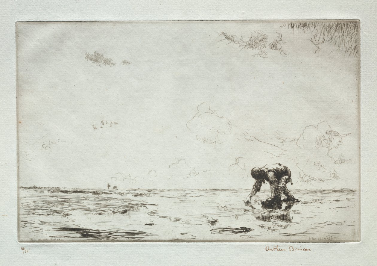 Winkle-vælgeren af Arthur John Trevor Briscoe