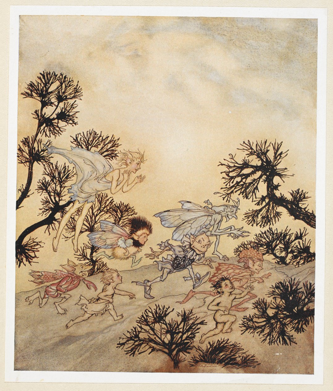 AKT IV: Scene I, linje 259 Gå anklage mine nisser, at de slibe deres led Med tørre kramper af Arthur Rackham