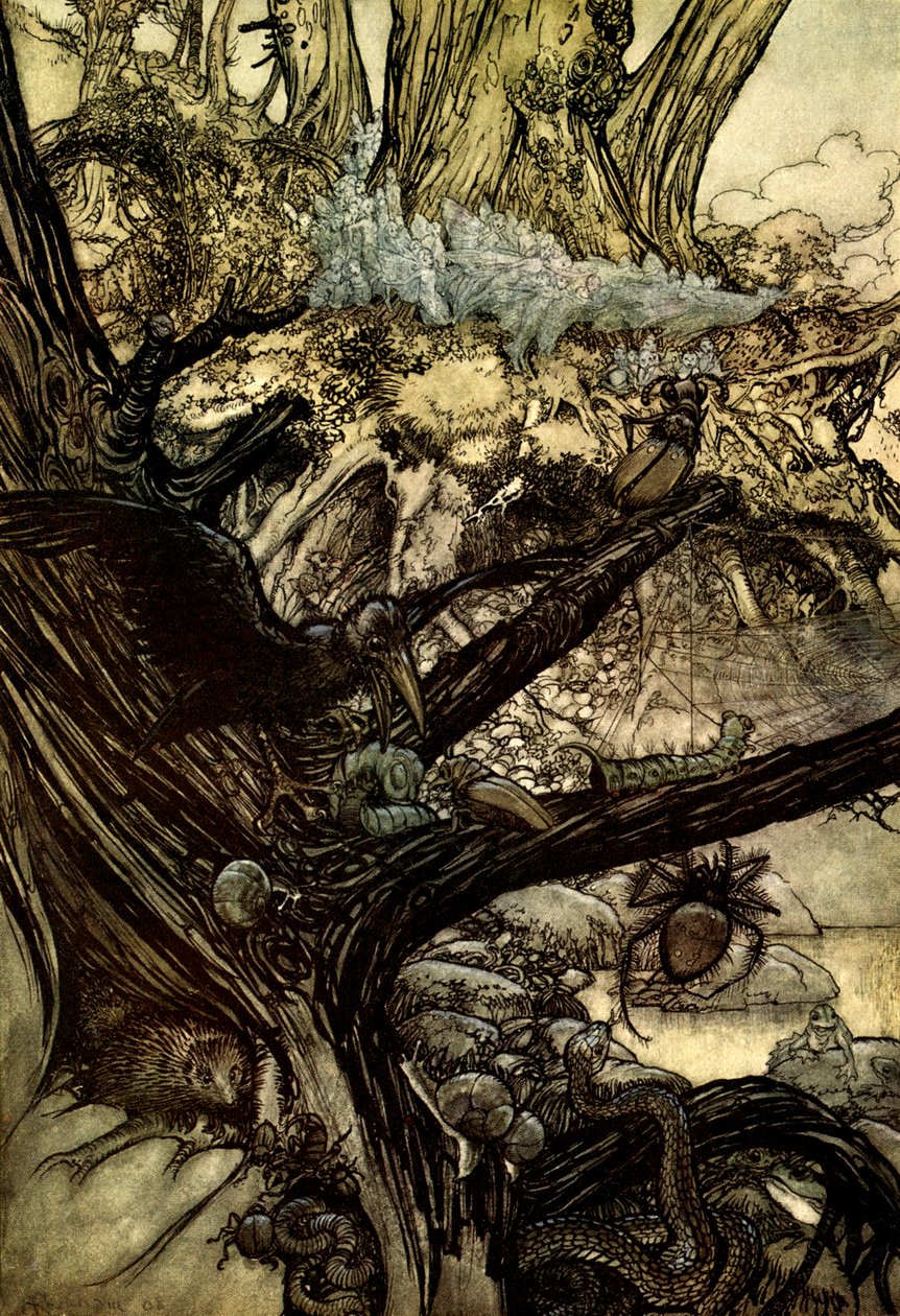 En skærsommernats drøm af Arthur Rackham