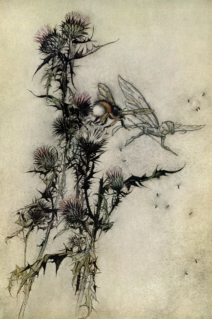 En skærsommernats drøm af Arthur Rackham