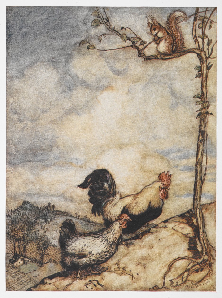 En illustration af en høne, hane og egern fra The Adventures of Chanticleer og Partlet. af Arthur Rackham