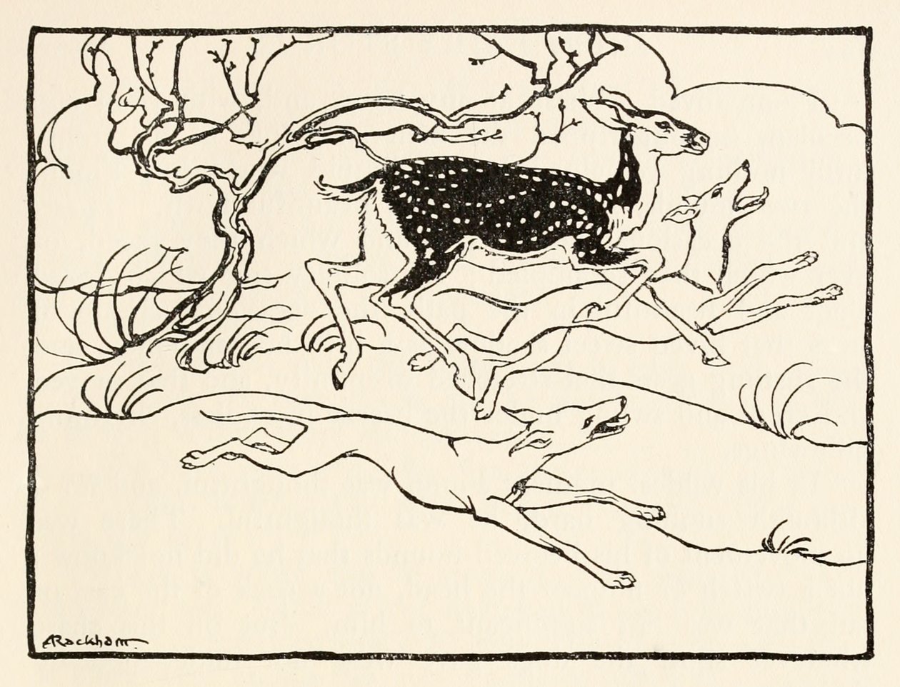 Becfola i sin vogn fra The Wooing of Becfola i Irish Fairy TalesSe beskrivelse af Arthur Rackham