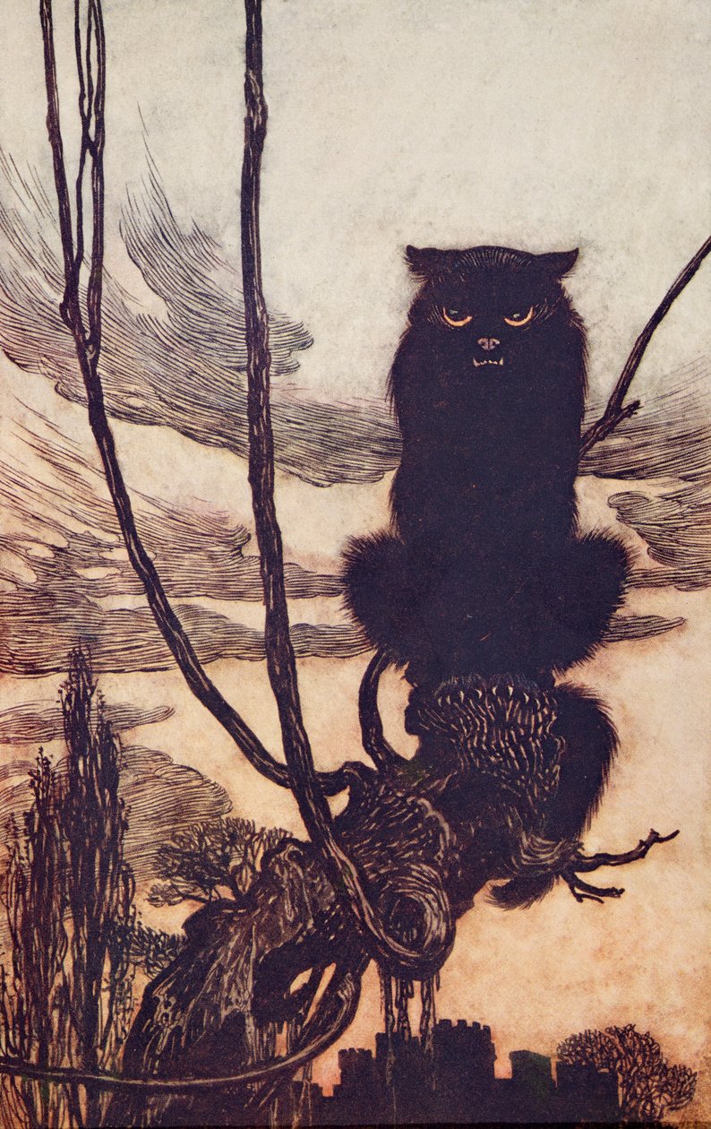 Om dagen gjorde hun sig selv til en kat ?, fra The Fairy Tales of the Brothers Grimm, pub. 1909 af Arthur Rackham