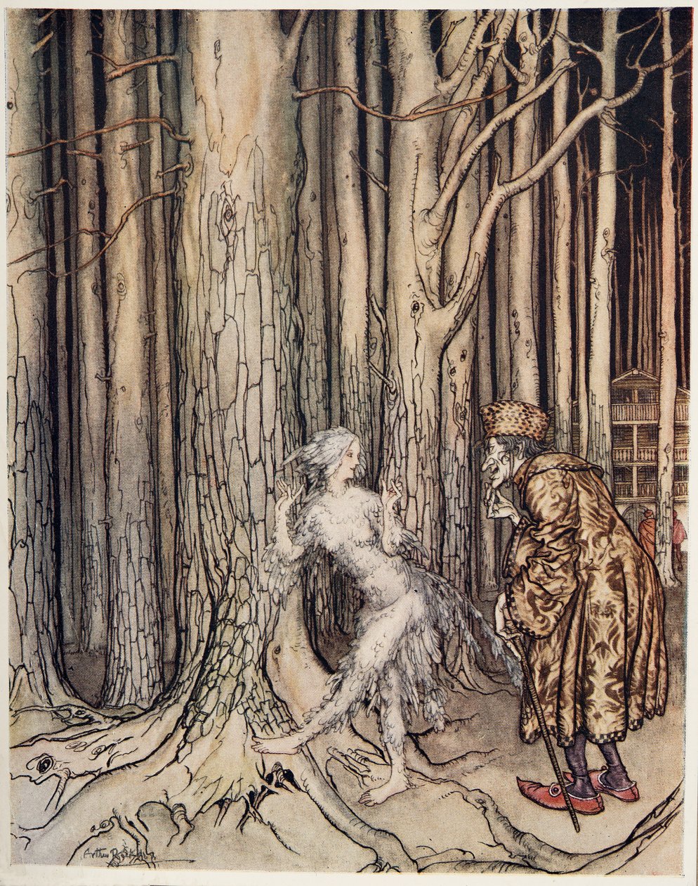 Fitchers Bird, fra Lillebror & Lillesøster og andre fortællinger af brødrene Grimm, pub.1917 af Arthur Rackham