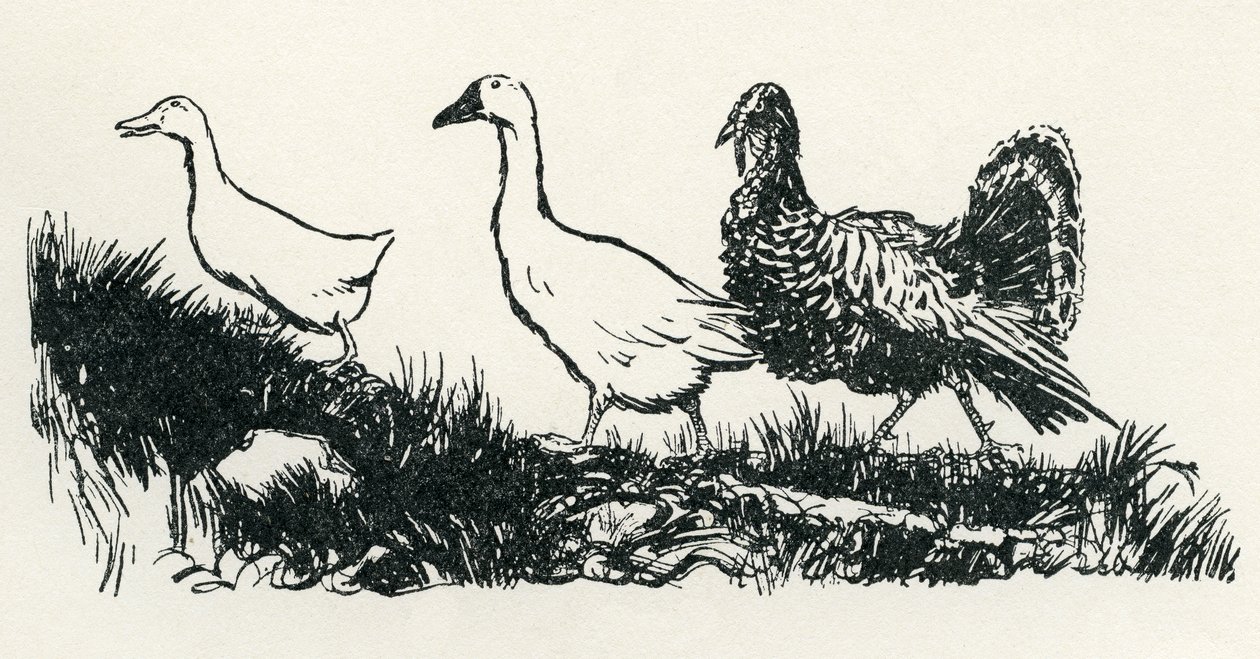 Henny-Penny af Arthur Rackham