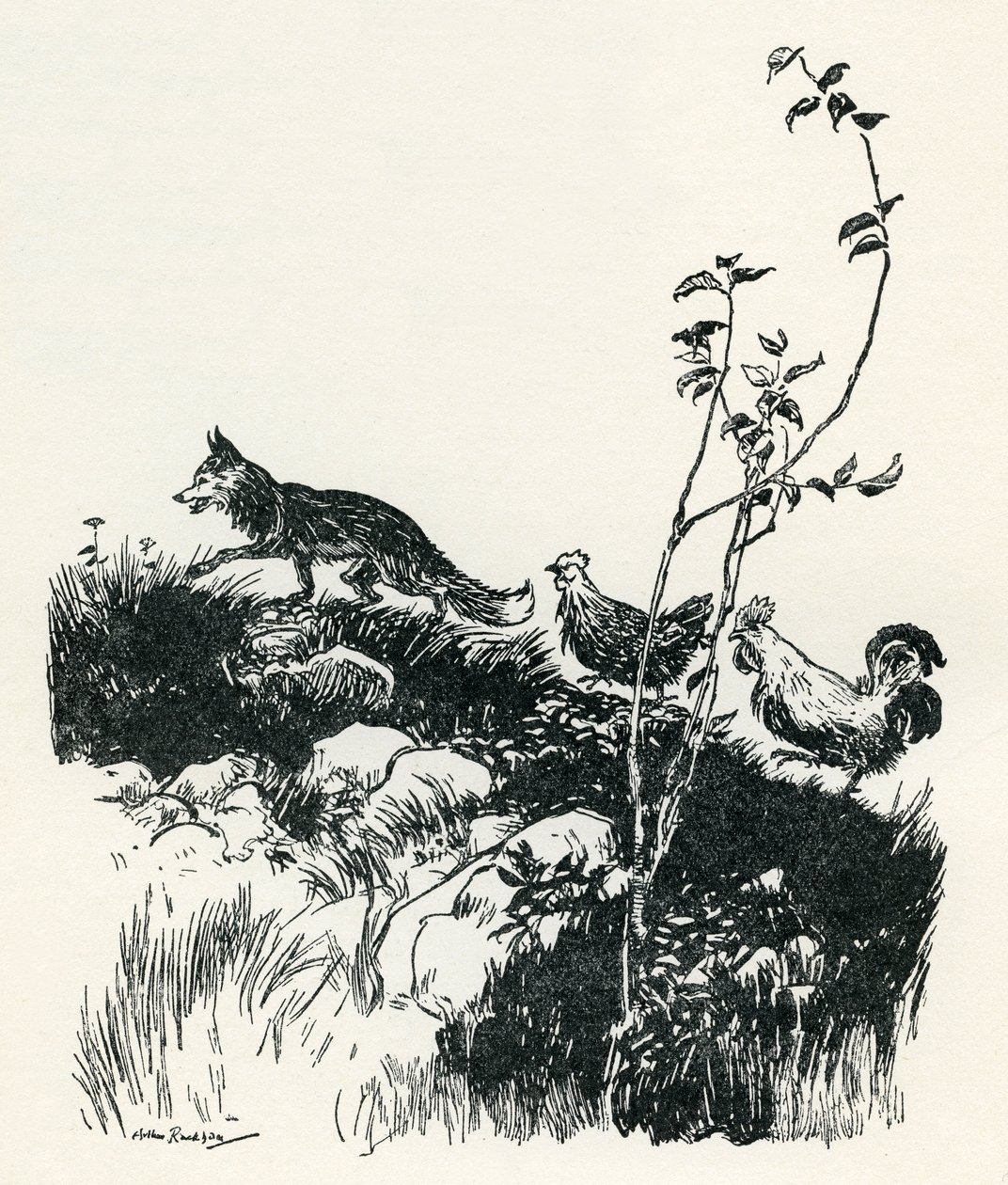 Henny-Penny af Arthur Rackham