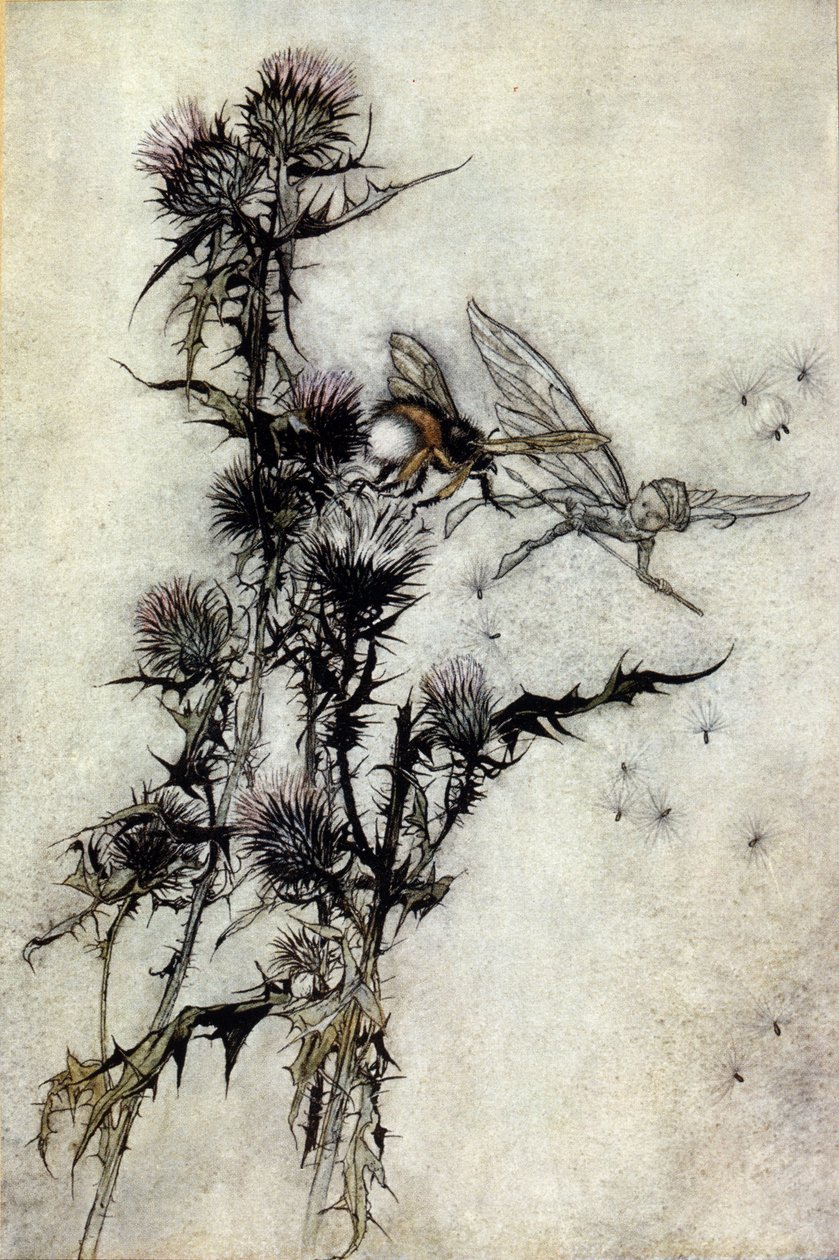 Illustration af Arthur RACKHAM (1867-1939) til Drømmen om en sommernat af William SHAKESPEARE af Arthur Rackham