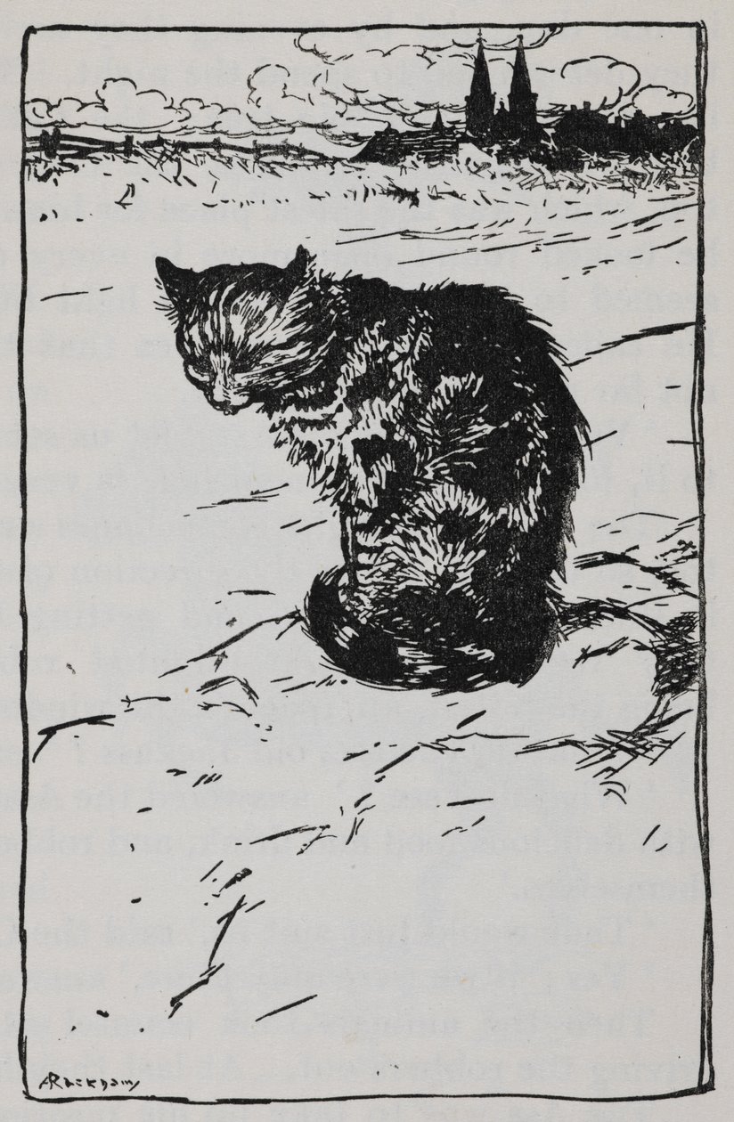 Illustration af en kat fra The Bremen Town Musicians. af Arthur Rackham