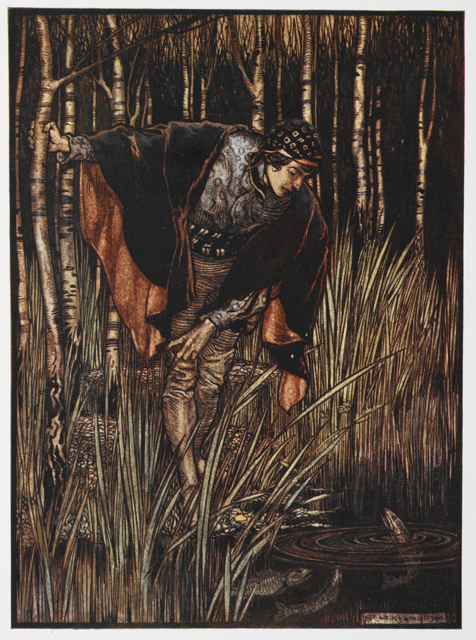 Illustration af en ungdom ved en dam fra The White Snake. af Arthur Rackham