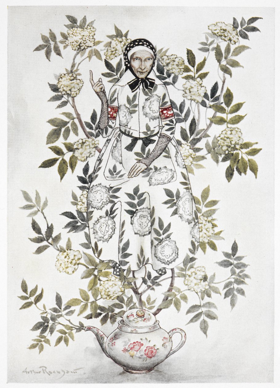 Midt i et træ sad en venligt udseende kvinde«. En stor plante, der vokser ud af en tekande. En gammel kvinde blandt grenene. En farveillustration til 