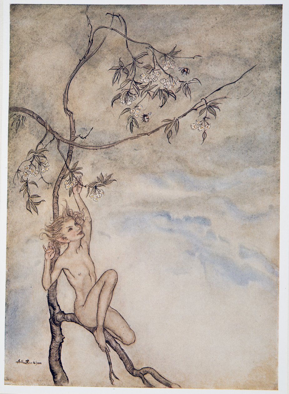 Godt, lystigt skal jeg leve nu under blomsten, der hænger på grenen, illustration fra William Shakespeares The Tempest, pub. 1926 af Arthur Rackham