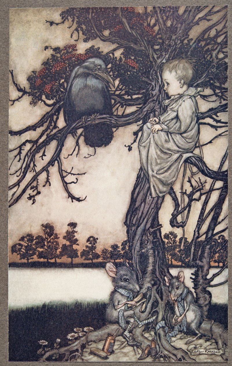 Læg hans mærkelige sag foran Old Solomon Caw, fra Peter Pan i Kensington Gardens af J M Barrie (1860 - 1937), pub. 1906 af Arthur Rackham
